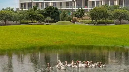 Impressie van Loreto at Damac Hills, woningen van Damac Properties in Damac Hills, Dubai