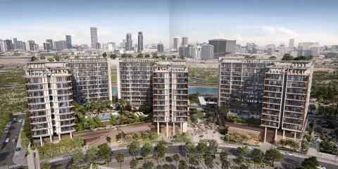 Elm, collectie van Ember Park Five