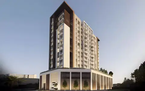 Albero in Liwan, Dubai, foto 2