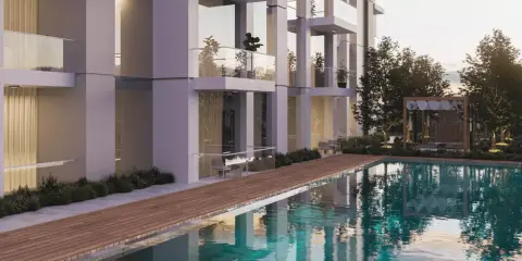 Albero in Liwan, Dubai, foto 3