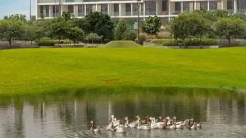 Loreto at Damac Hills, Damac Hills, Dubai