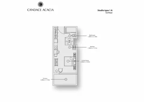 Candace Acacia in Al Furjan, Dubai, foto 3