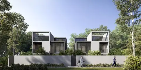 Robinia in Tilal City, Sharjah, foto 4